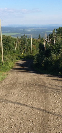 Centennial Drive  landscape